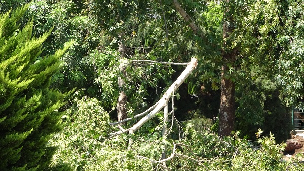 Foto - Fırtına minareyi devirdi: 2 yaralı