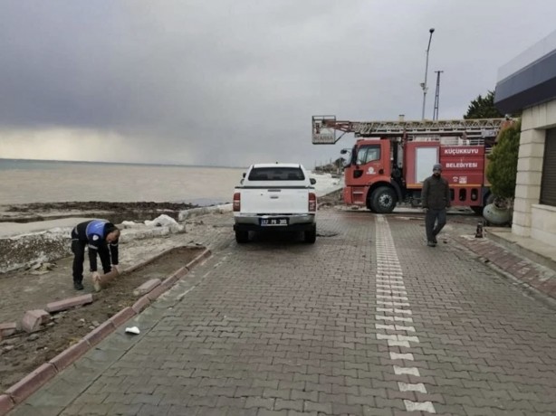 Foto - Fırtına ölü yunusu karaya çıkarttı!