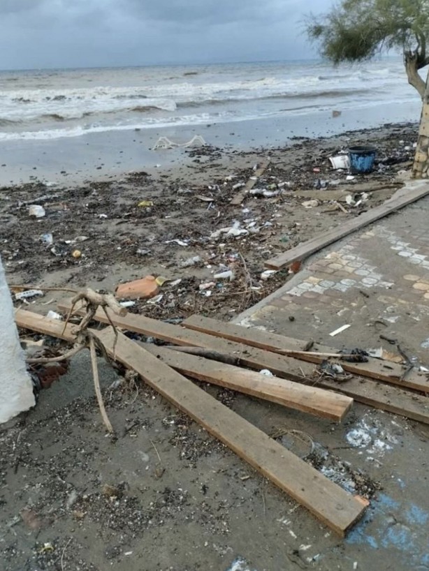 Foto - Fırtına ölü yunusu karaya çıkarttı!