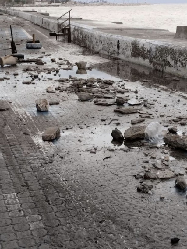 Foto - Fırtına ölü yunusu karaya çıkarttı!