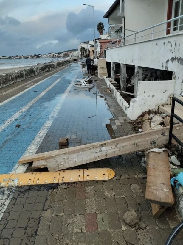 Fırtına ölü yunusu karaya çıkarttı!