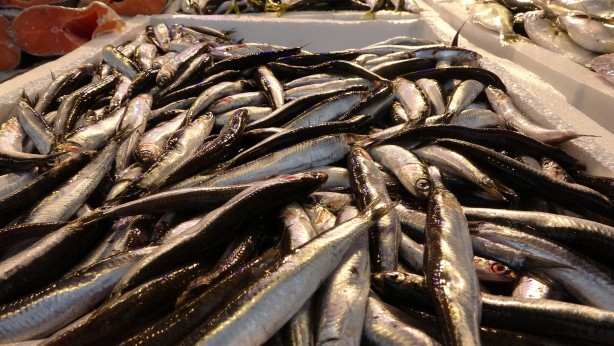 Foto - Fırtına tezgahları vurdu! Balık fiyatları ikiye katladı