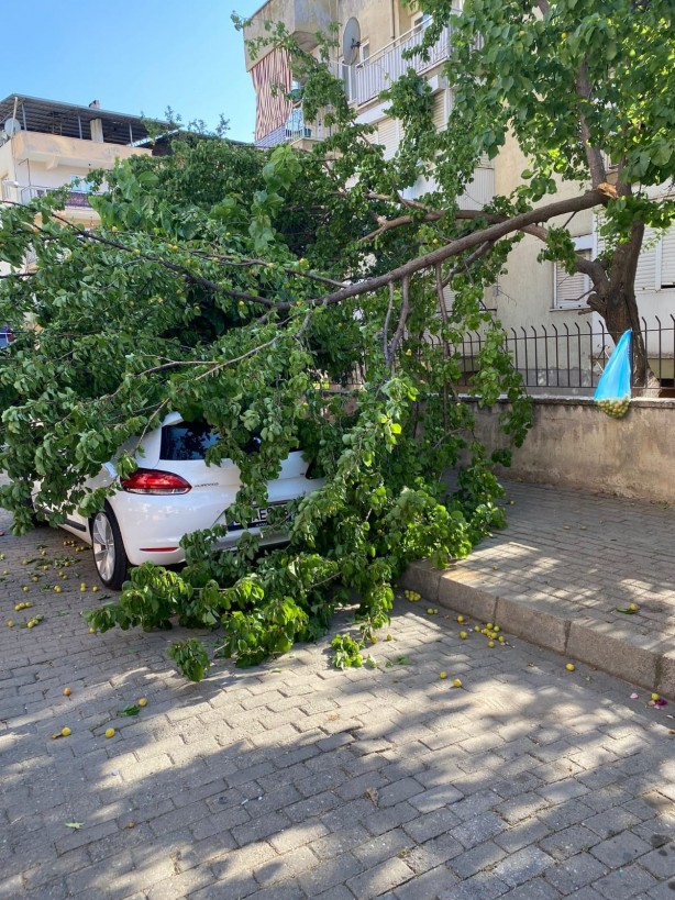 Foto - Fırtına yarım saatte şehri altüst etti!
