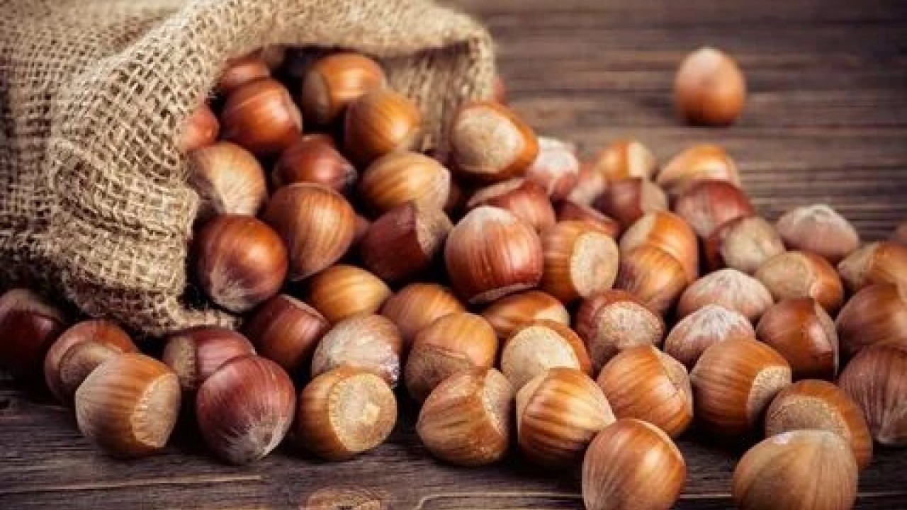 Foto - Fiskobirlik fındık alım fiyatlarını açıkladı! Yeni fiyatlar dudak uçuklattı