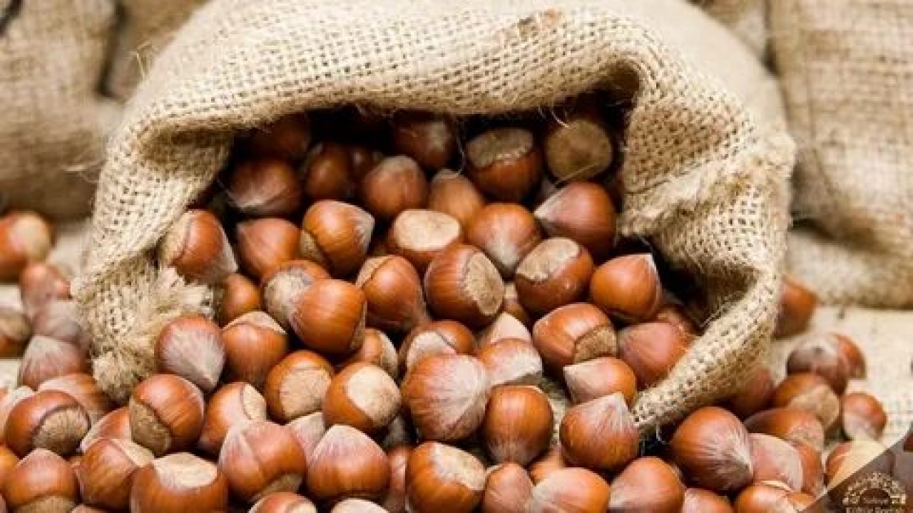 Foto - Fiskobirlik fındık alım fiyatlarını açıkladı! Yeni fiyatlar dudak uçuklattı