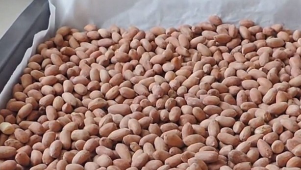 Fıstık yerken dış kısmını atan pişman olacak! Öyle bir faydası ortaya çıktı ki, duyunca avuç avuç yiyeceksiniz