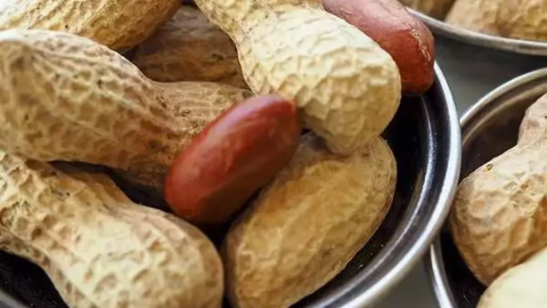 Foto - Fıstık yerken dış kısmını atan pişman olacak! Öyle bir faydası ortaya çıktı ki, duyunca avuç avuç yiyeceksiniz