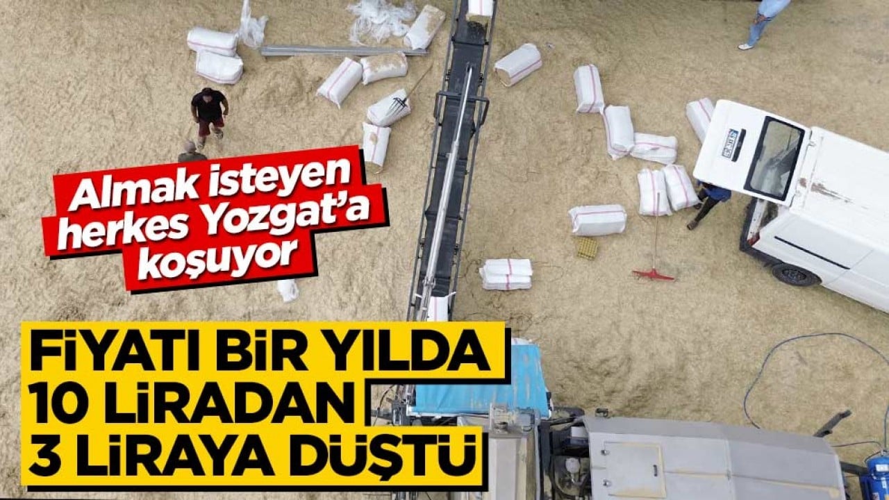 Fiyatı 1 yılda 10 liradan 3 liraya düştü! Almak için Yozgat'a koşuyorlar