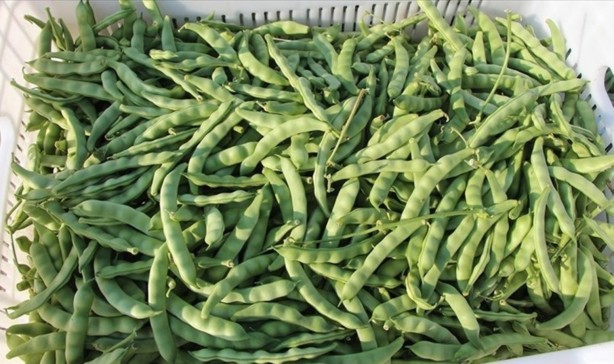 Foto - Fiyatı 180 lira birden düştü! Vatandaş hem isyan etti hem markete koştu