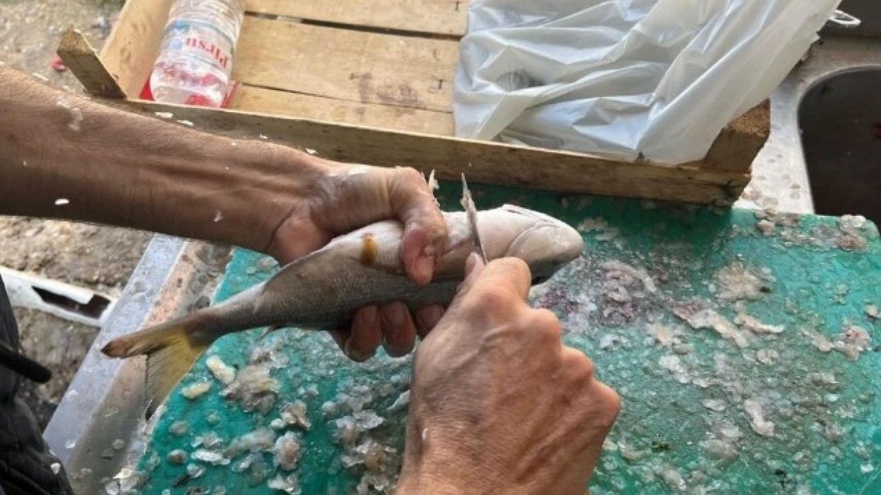 Foto - Fiyatı dudak uçuklatıyor! Gece avlanıyor sabah alıcıyla buluşuyor