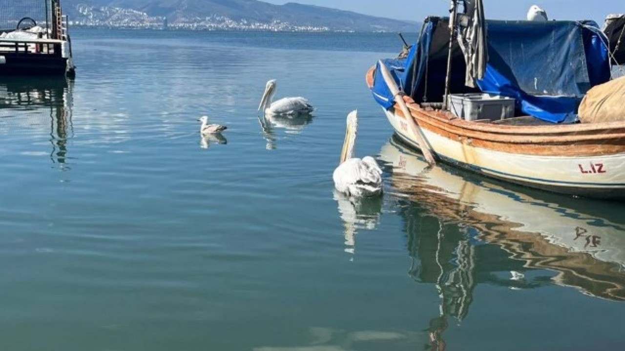 Foto - Fiyatı dudak uçuklatıyor! Gece avlanıyor sabah alıcıyla buluşuyor