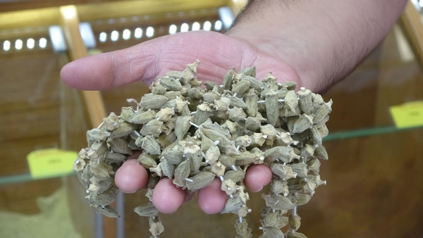 Fiyatı gram altınla yarışıyor!