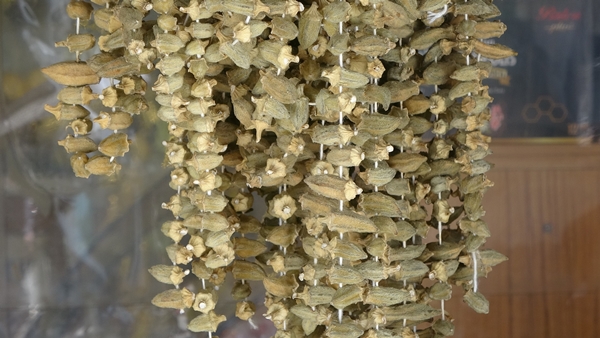 Foto - Fiyatı gram altınla yarışıyor!