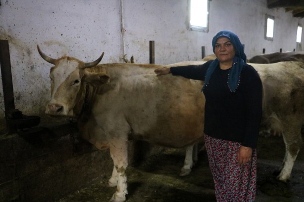 Foto - Fiyatı normalinin 3 katı! 'Bu sütü içen koronavirüs olmuyor'
