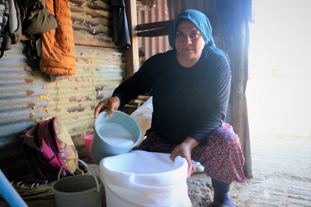 Foto - Fiyatı normalinin 3 katı! 'Bu sütü içen koronavirüs olmuyor'
