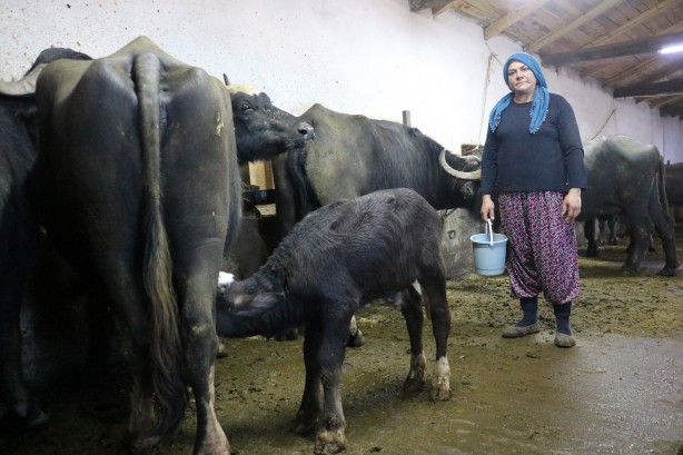 Foto - Fiyatı normalinin 3 katı! 'Bu sütü içen koronavirüs olmuyor'