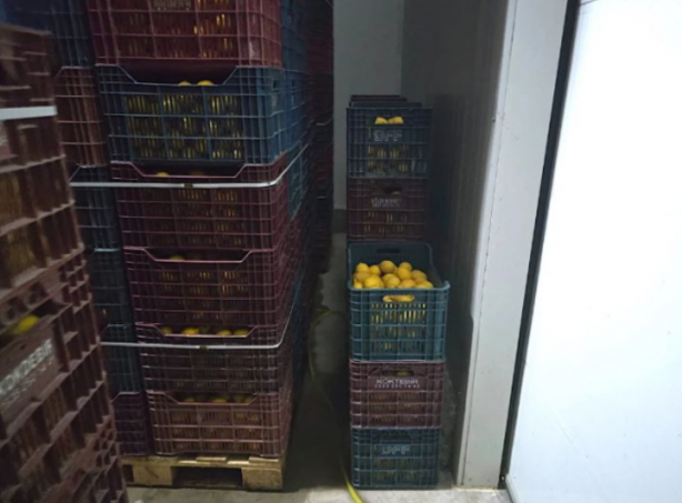 Foto - Fiyatı patlamıştı! Sebebi belli oldu: Ucuza satmamak için 380 ton ürünü...