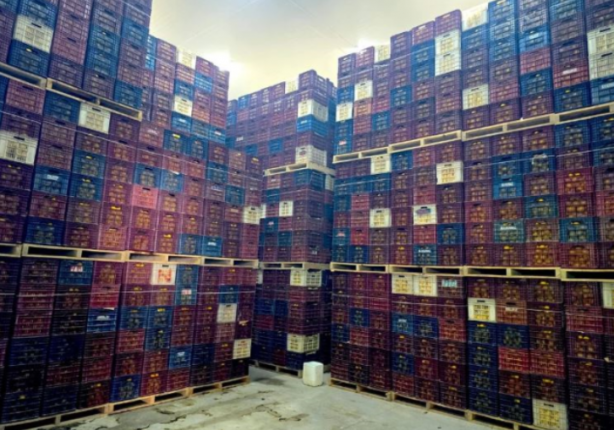 Foto - Fiyatı patlamıştı! Sebebi belli oldu: Ucuza satmamak için 380 ton ürünü...