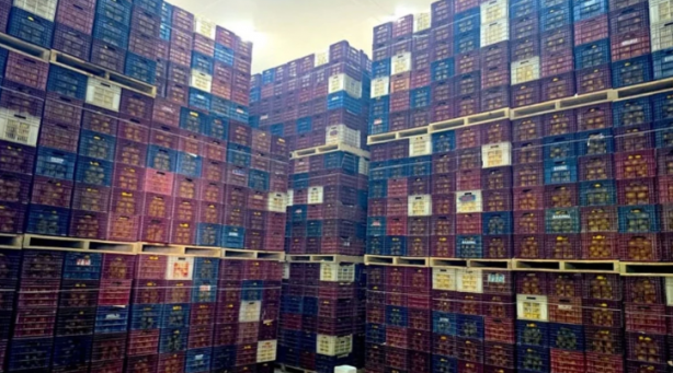 Fiyatı patlamıştı! Sebebi belli oldu: Ucuza satmamak için 380 ton ürünü...