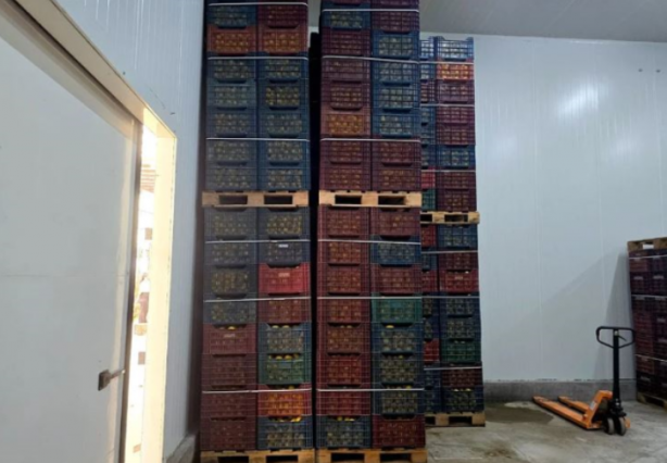 Foto - Fiyatı patlamıştı! Sebebi belli oldu: Ucuza satmamak için 380 ton ürünü...