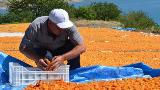 Foto - Fiyatı roket gibi fırladı, et fiyatlarını ikiye katladı! Dünyanın gözü o ilimizde! Kilosu bin TL’yi buluyor