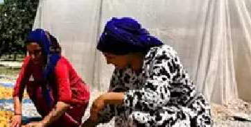 Fiyatı roket gibi fırladı, et fiyatlarını ikiye katladı! Dünyanın gözü o ilimizde! Kilosu bin TL’yi buluyor