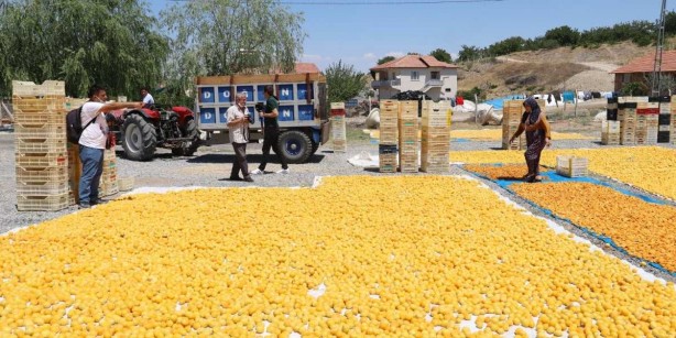 Foto - Fiyatı roket gibi fırladı, et fiyatlarını ikiye katladı! Dünyanın gözü o ilimizde! Kilosu bin TL’yi buluyor