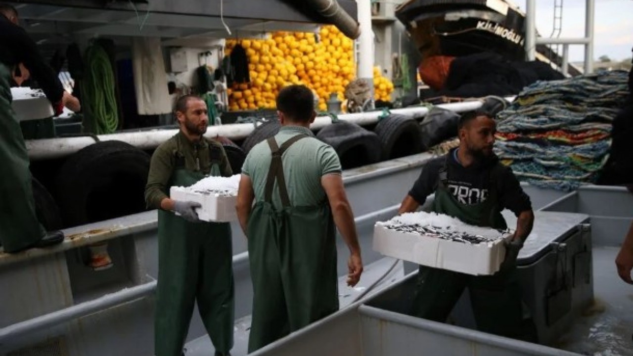 Foto - Fiyatı vatandaşları mutlu ediyor! Karadeniz'de hamsi bolluğu