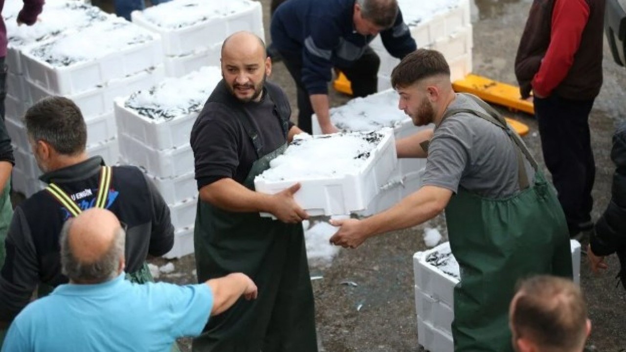 Foto - Fiyatı vatandaşları mutlu ediyor! Karadeniz'de hamsi bolluğu