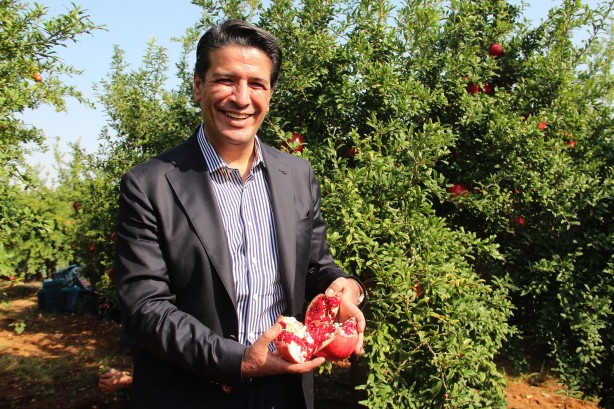Foto - Fiyatı yüzde 100 arttı! Üreticinin yüzü gülüyor