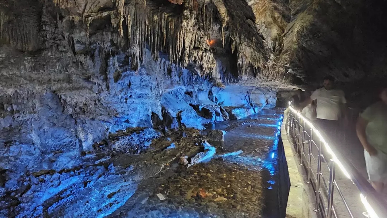 Foto - Fiyatına göre müthiş! Rekor kırdı! Binlerce kişi onun için kendini paraladı