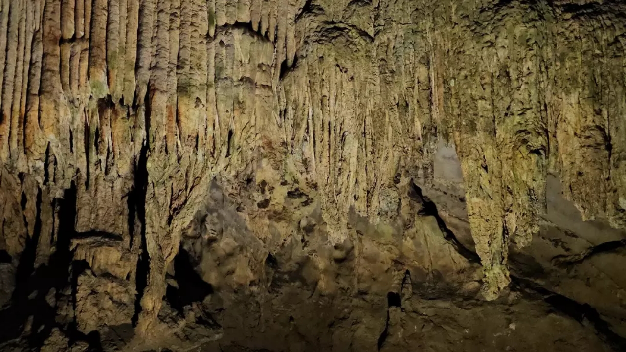 Foto - Fiyatına göre müthiş! Rekor kırdı! Binlerce kişi onun için kendini paraladı