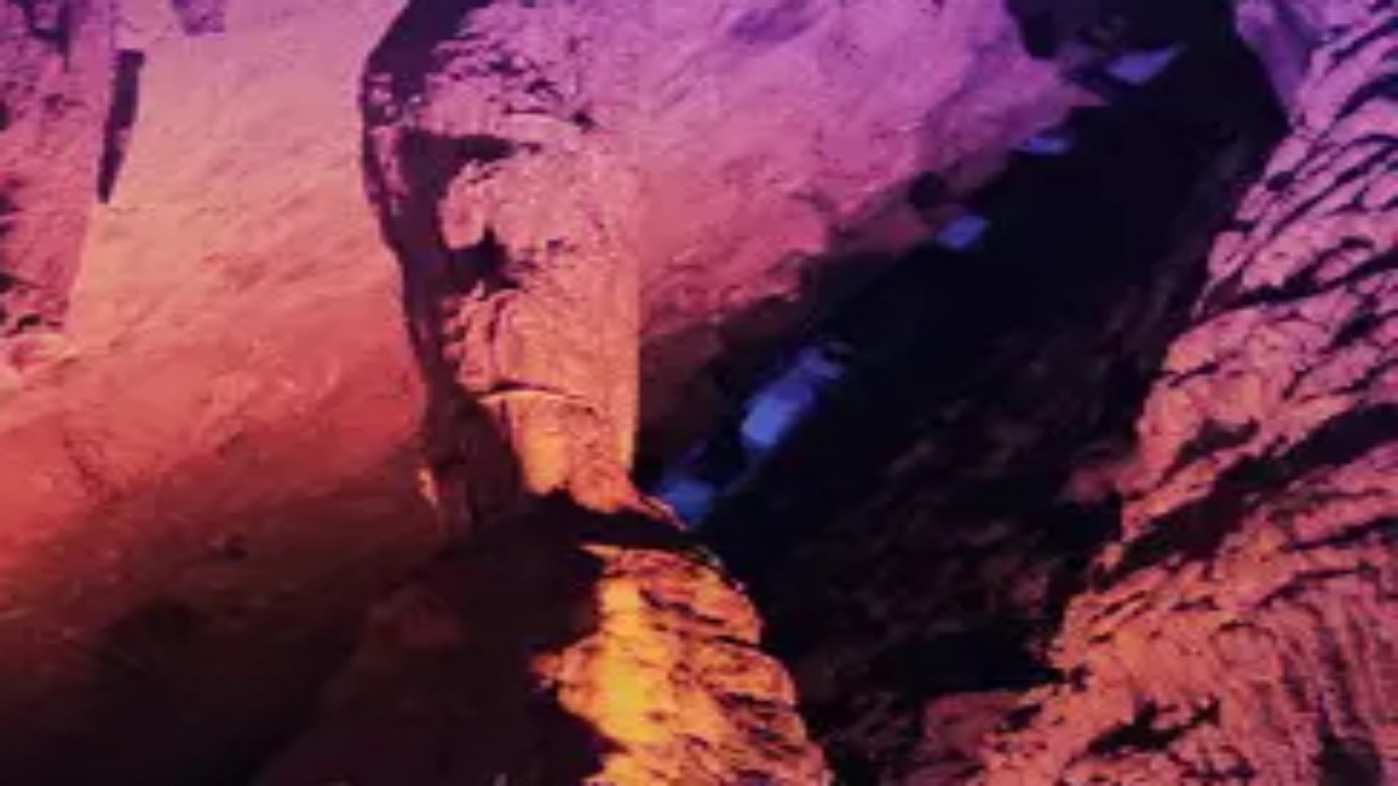 Fiyatına göre müthiş! Rekor kırdı! Binlerce kişi onun için kendini paraladı