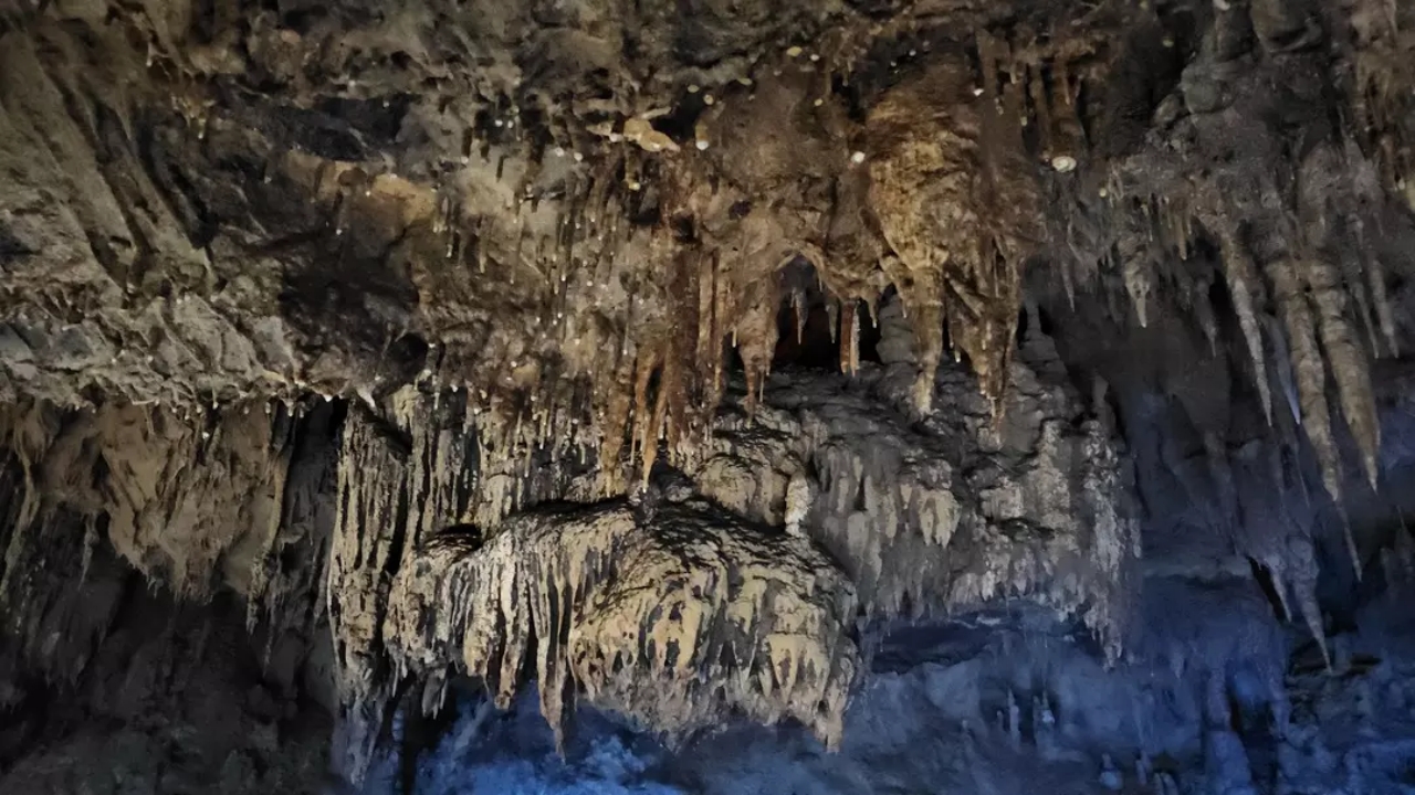 Foto - Fiyatına göre müthiş! Rekor kırdı! Binlerce kişi onun için kendini paraladı