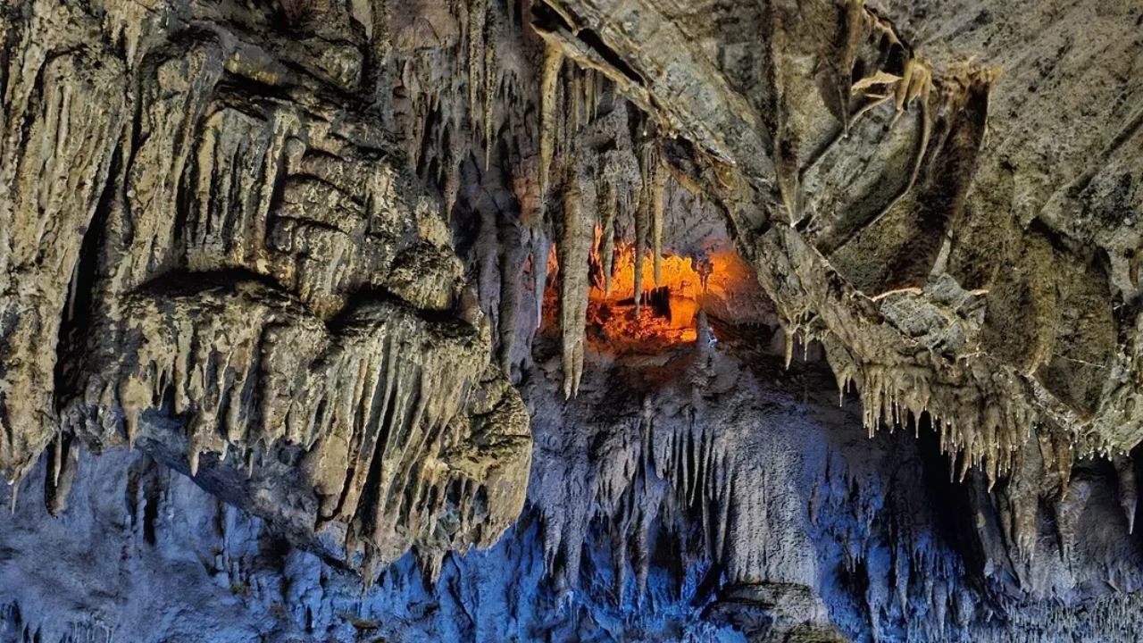 Foto - Fiyatına göre müthiş! Rekor kırdı! Binlerce kişi onun için kendini paraladı