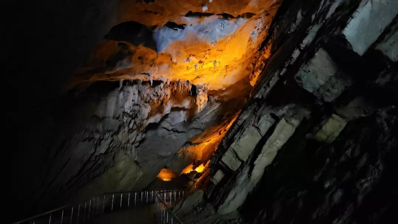 Foto - Fiyatına göre müthiş! Rekor kırdı! Binlerce kişi onun için kendini paraladı