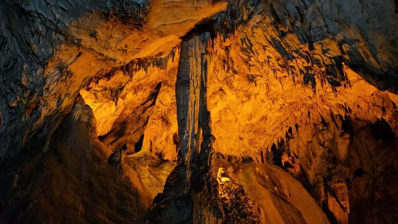 Foto - Fiyatına göre müthiş! Rekor kırdı! Binlerce kişi onun için kendini paraladı