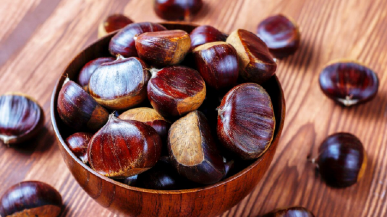 Fiyatıyla rağbet gördü! Kış aylarının vazgeçilmezi ilgi görüyor