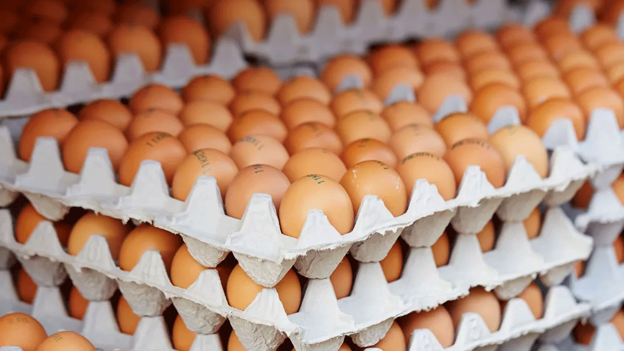 Foto - Fiyatlar 2 katına çıktı! Türkiye'den sipariş ettiler!