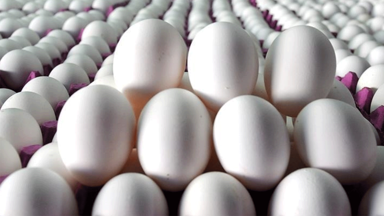 Foto - Fiyatlar 2 katına çıktı! Türkiye'den sipariş ettiler!