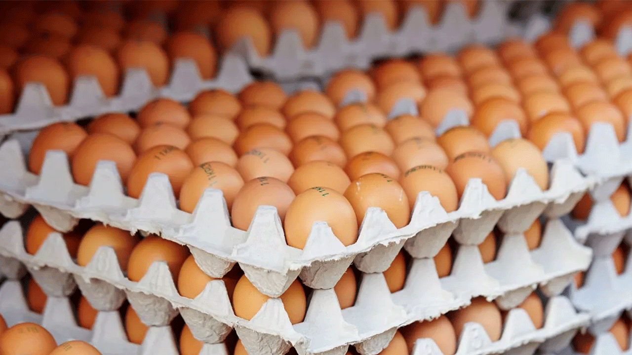 Foto - Fiyatlar 2 katına çıktı! Türkiye'den sipariş ettiler!