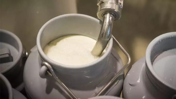 Foto - Fiyatlar arttı, hile-hurda çoğaldı! Sağlıklı diye alıyoruz ama... İşte sahte kapı sütünü bir bakışta anlamanızı sağlayacak yöntem