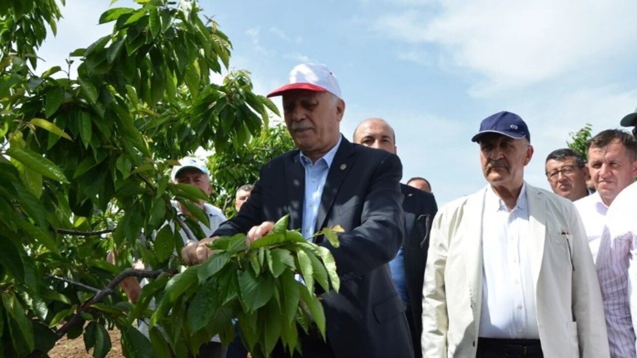 Foto - Fiyatlar düşmüyor artıyor! Vatandaş tezgahtaki kiraza uzaktan bakıyor