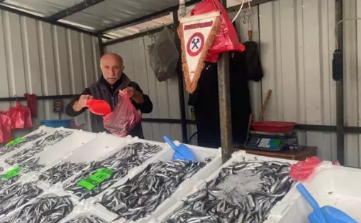 Foto - Fiyatlar düşüşe geçti vatandaşlar akın etti! İşte tezgahların en ucuz balığı: Tüm Türkiye'ye duyuruldu...