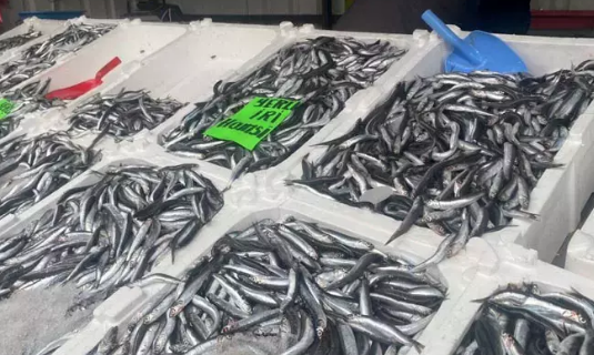 Foto - Fiyatlar düşüşe geçti vatandaşlar akın etti! İşte tezgahların en ucuz balığı: Tüm Türkiye'ye duyuruldu...