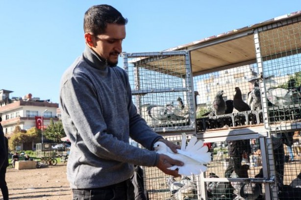 Foto - Fiyatları binlerce liraya çıkıyor... 2023'ün ilk gününde güvercinler için buluştular