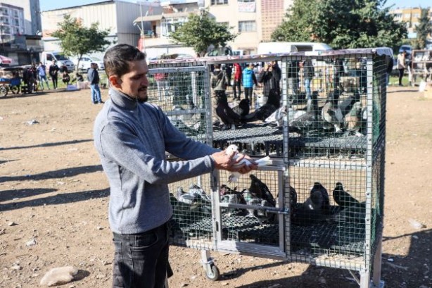 Foto - Fiyatları binlerce liraya çıkıyor... 2023'ün ilk gününde güvercinler için buluştular