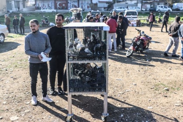 Foto - Fiyatları binlerce liraya çıkıyor... 2023'ün ilk gününde güvercinler için buluştular