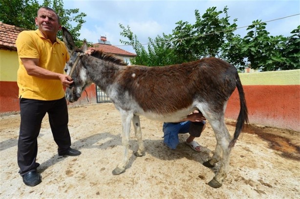 Foto - Fiyatları dudak uçuklatıyor!