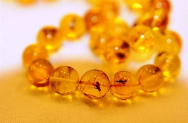 Foto - Fiyatları dudak uçuklatıyor!